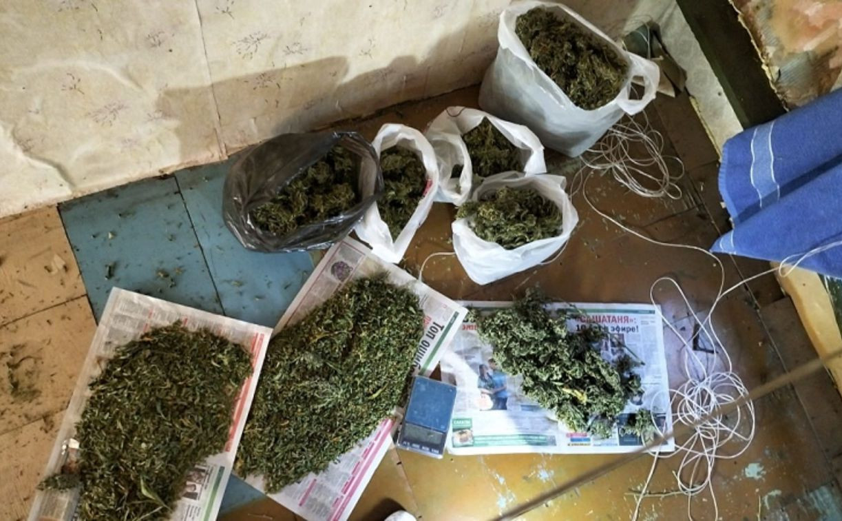 В Шатске изъяли 96 кустов каннабиса: растамана поймали с поличным