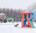 Проект «Зима по-тульски»: забег Дедов Морозов, «Мастерская чудес» и многое другое