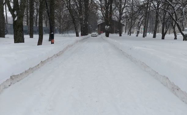 Тулячка возмутилась манерой парковки автомобилиста