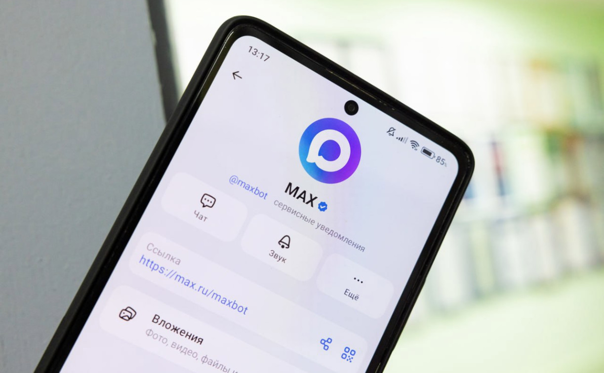 В Тульской области появился чат-бот для быстрого поиска домовых чатов