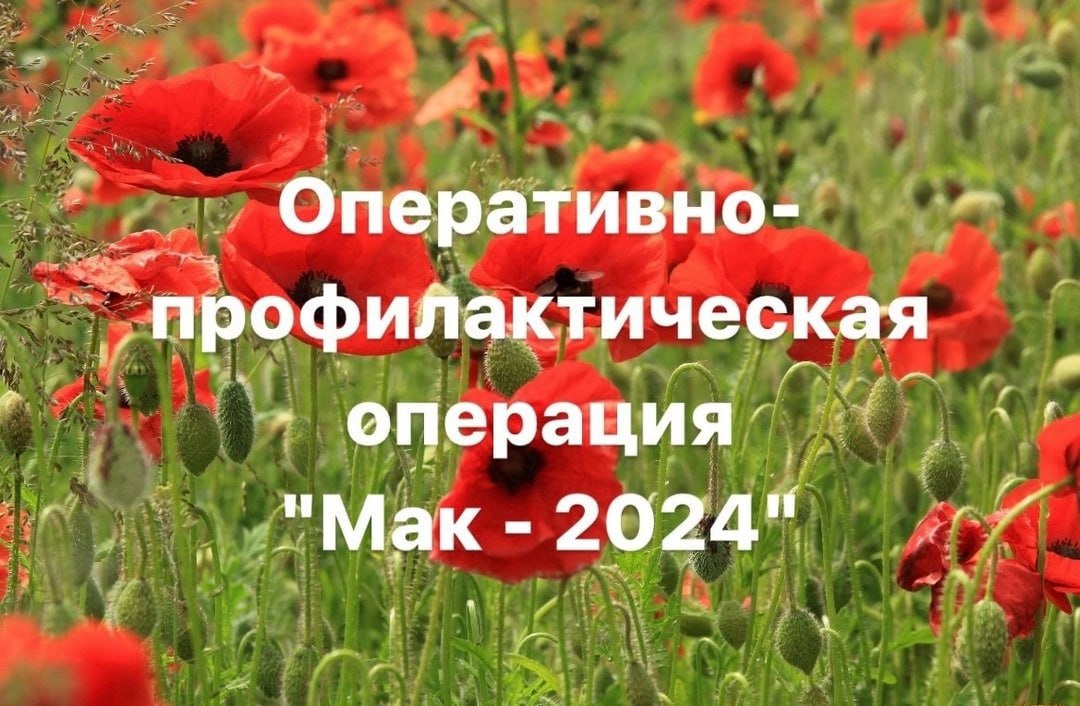 Операция «Мак-2024»: в Тульской области изъяли больше 26 кг наркотиков и возбудили 5 уголовных дел