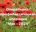 Операция «Мак-2024»: в Тульской области изъяли больше 26 кг наркотиков и возбудили 5 уголовных дел