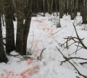 Калужане незаконно застрелили лося в охотхозяйстве Суворовского района