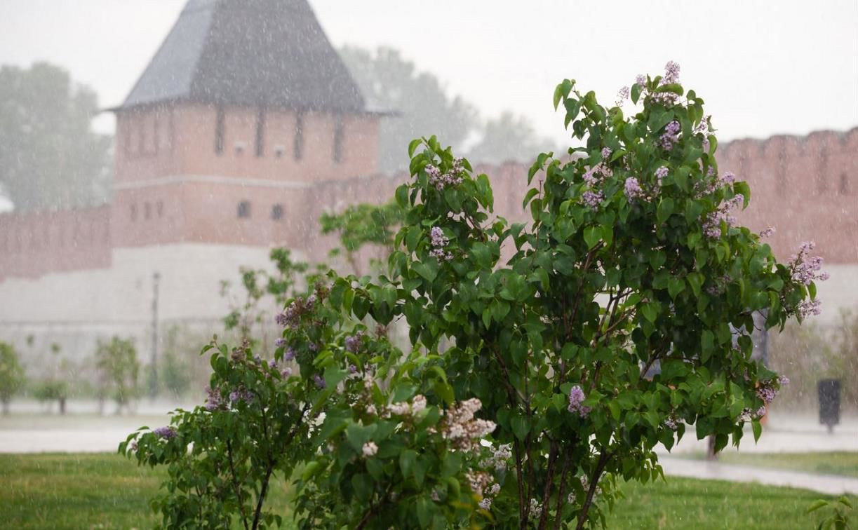 Погода в Туле 30 июня: дождливо, ветрено и прохладно
