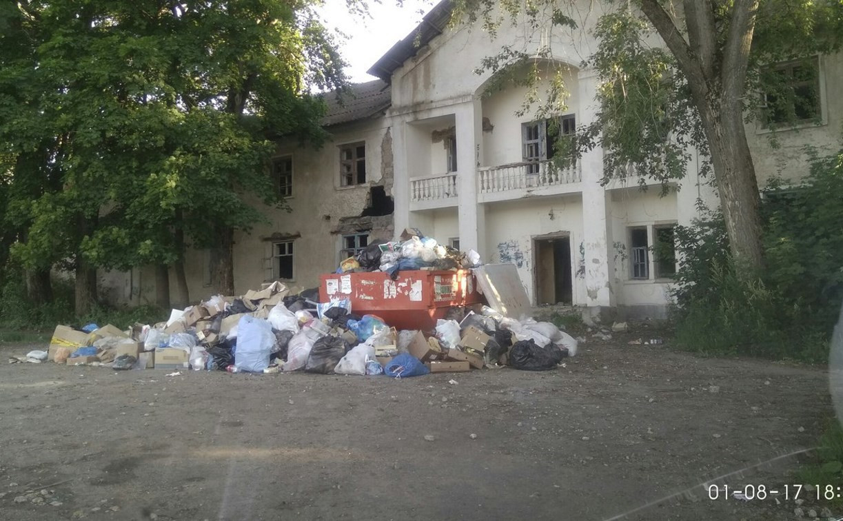 Киреевск Тульской области погряз в мусоре
