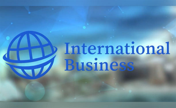 International Business — отзывы клиентов о миграционной компании
