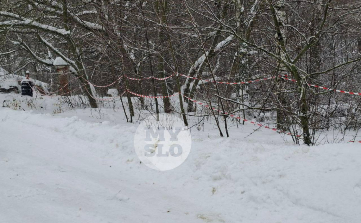 Роспотребнадзор о превышении радиации в Веневе: «В ближайших к парку жилых домах излучение в пределах нормы»
