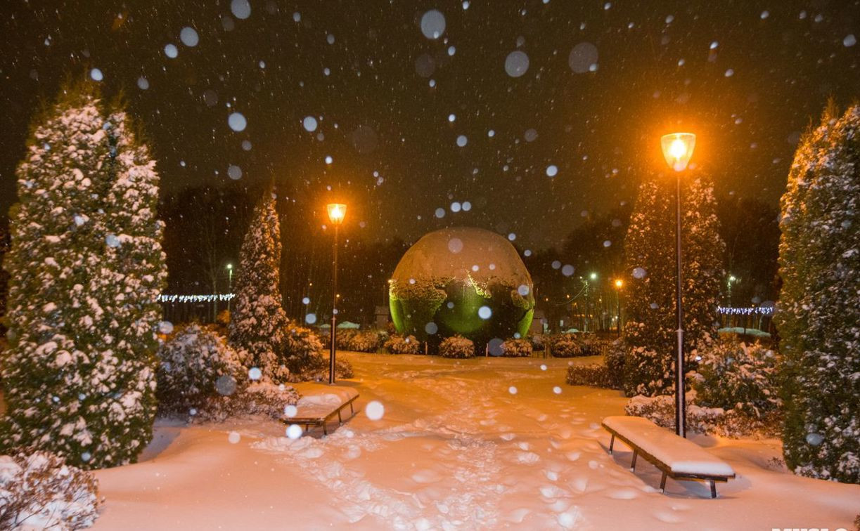 Погода в Туле 2 января: снежно и до -18°С