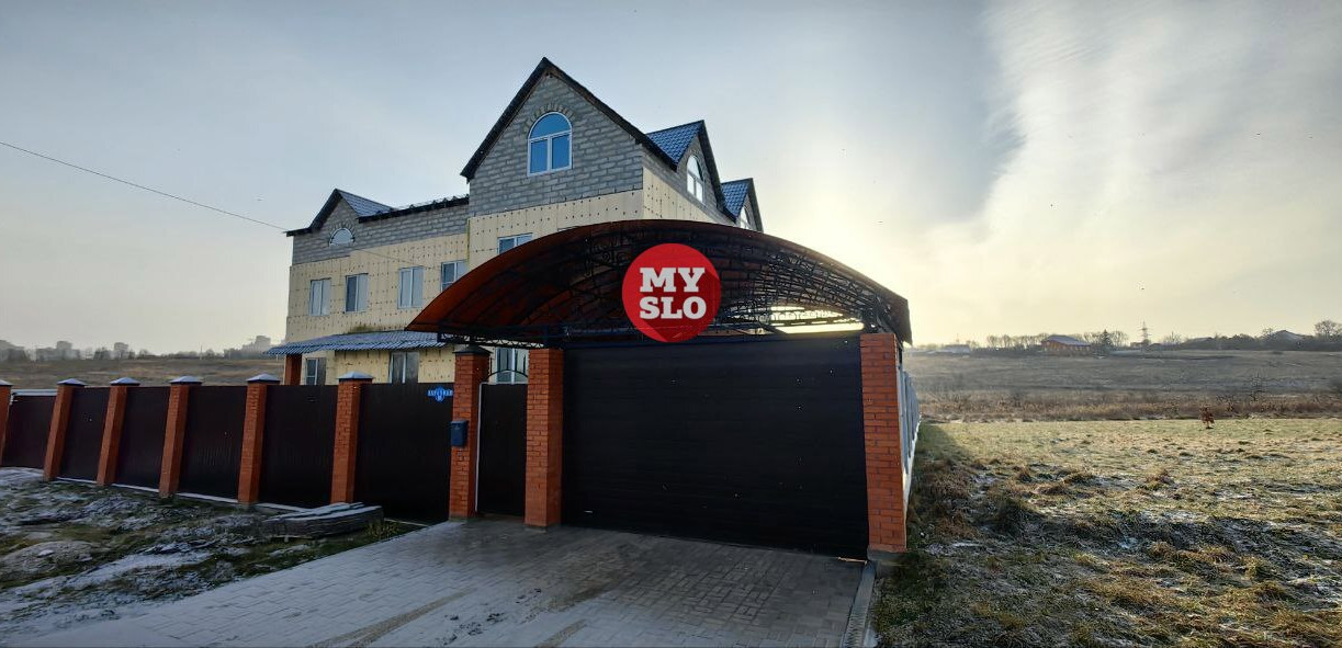 Поножовщина и стрельба в Нижнем Елькино: что известно об организации «Возрождение»?