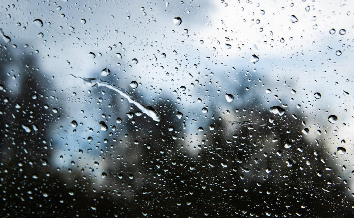 Погода в Туле 11 ноября: небольшой дождь и до +10