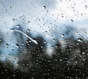 Погода в Туле 11 ноября: небольшой дождь и до +10