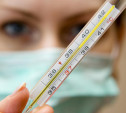В Тульской области началась эпидемия гриппа