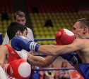  Шесть тульских боксеров пробились в финал первенства «Локомотива»
