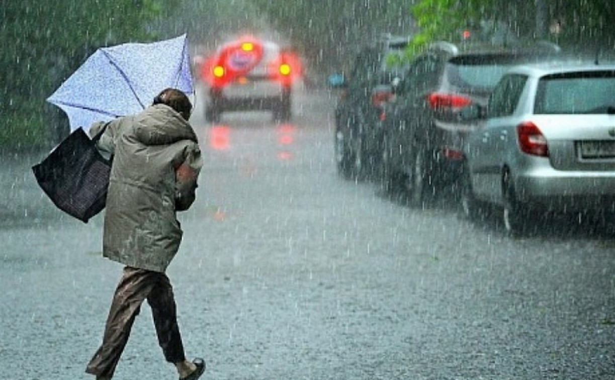Погода в Туле 25 апреля: пасмурно, дождливо и прохладно