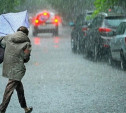 Погода в Туле 25 апреля: пасмурно, дождливо и прохладно