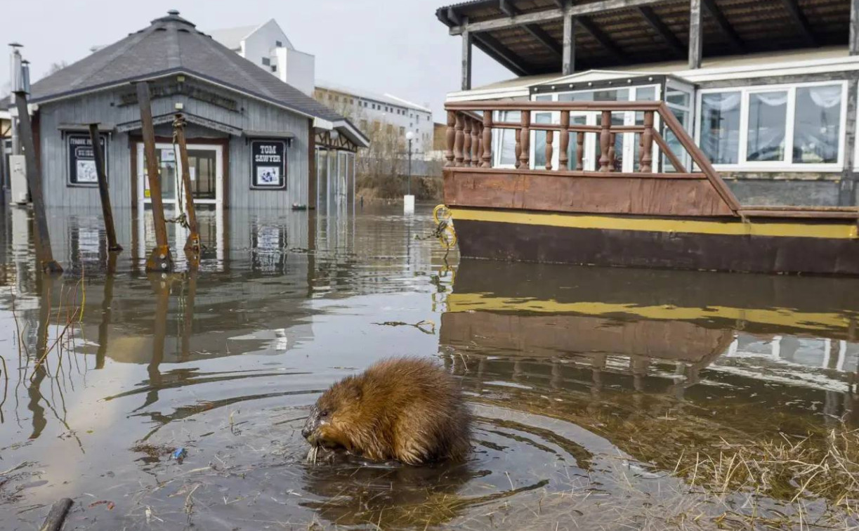 Паводок в Тульской области: движение закрыто на 16 мостах
