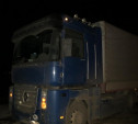 На дороге «Тула-Алешня» грузовик сбил пешехода