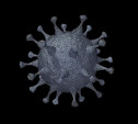 Что нужно знать о коронавирусе: самое важное в карточках Myslo