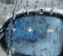 Погода в Туле 28 февраля: мокро, ветрено, до +5 градусов