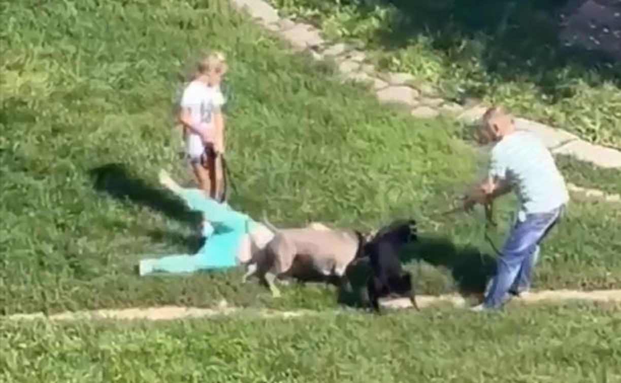 В Туле во дворе дома бойцовый пес намертво вцепился в другую собаку – видео