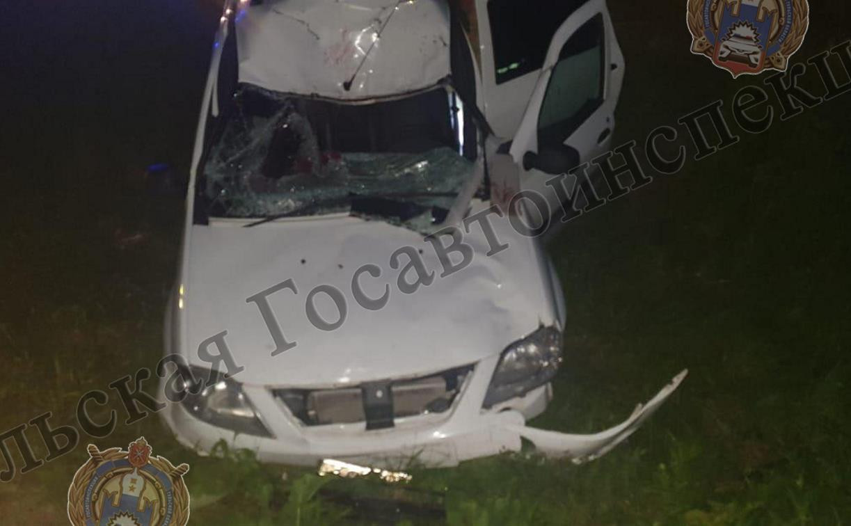 На М-2 «Крым» автомобиль Lada сбил лося: водитель госпитализирован