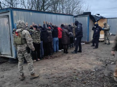 Силовики нагрянули с рейдом по нелегалам на сельхозпредприятие под Куркино