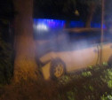 В Туле на Одоевском шоссе «Нексия» врезалась в дерево