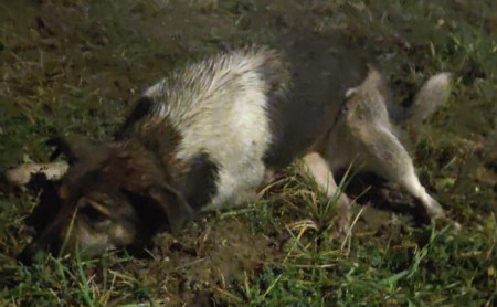 Жизнь Тулы и области