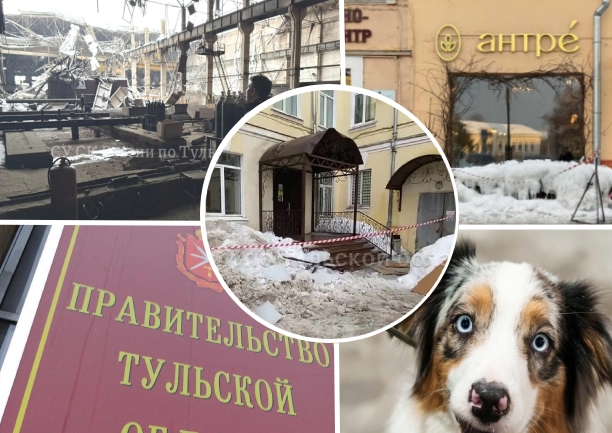 Чипирование домашних животных и рухнувшая крыша предприятия: топ новостей недели на Myslo