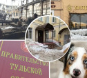 Чипирование домашних животных и рухнувшая крыша предприятия: топ новостей недели на Myslo