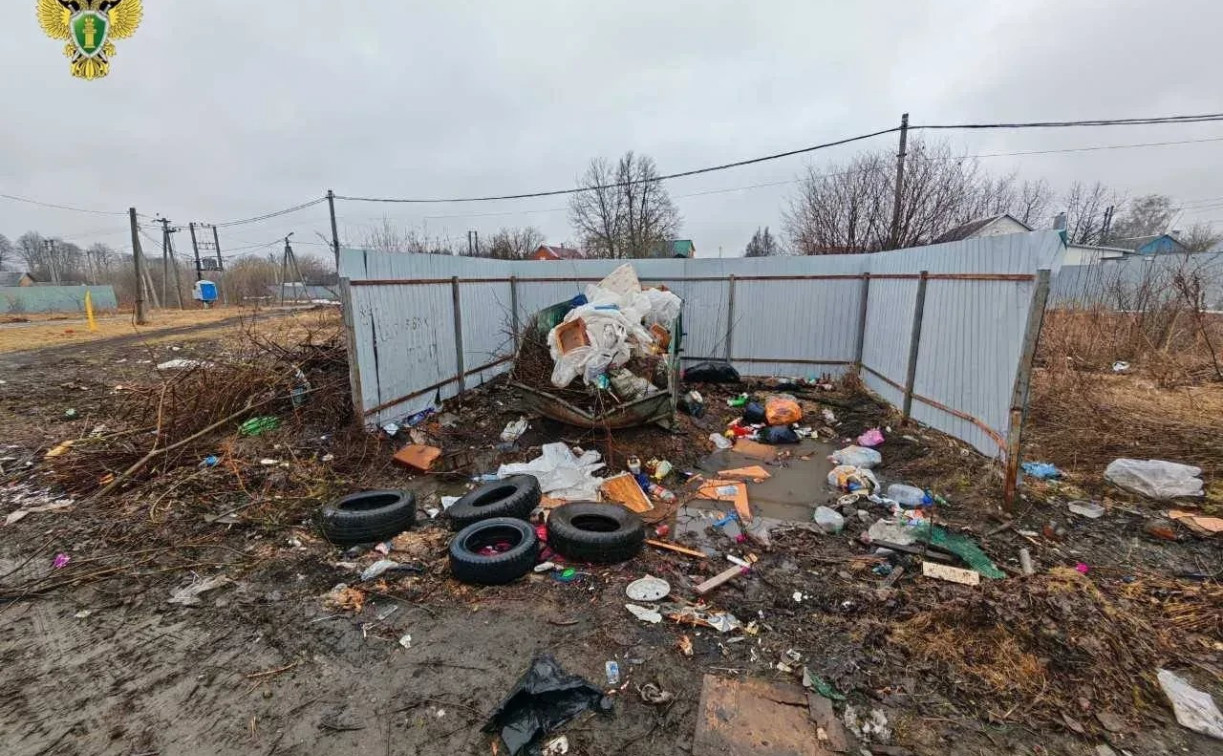 Покрышки, ветки и строительный мусор: в Воловском районе чиновников заставили убрать свалку