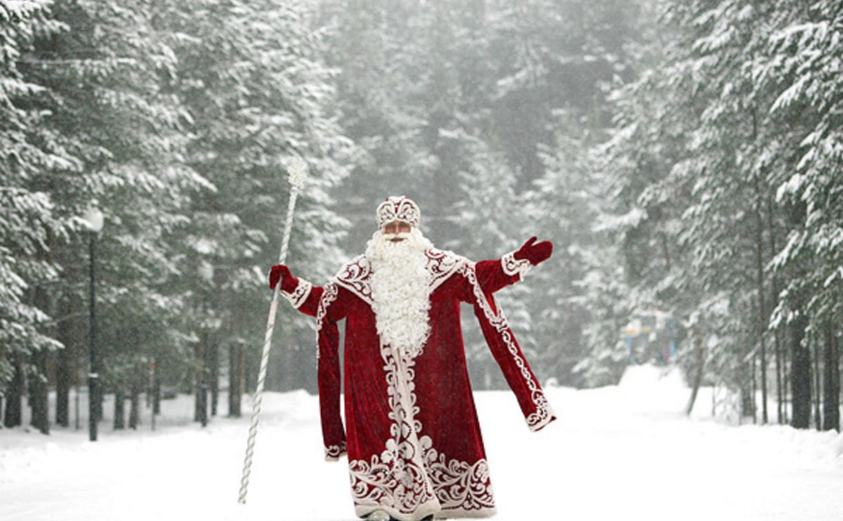 В Туле выберут лучшего Деда Мороза