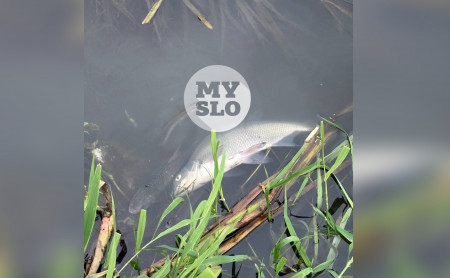 Жизнь Тулы и области