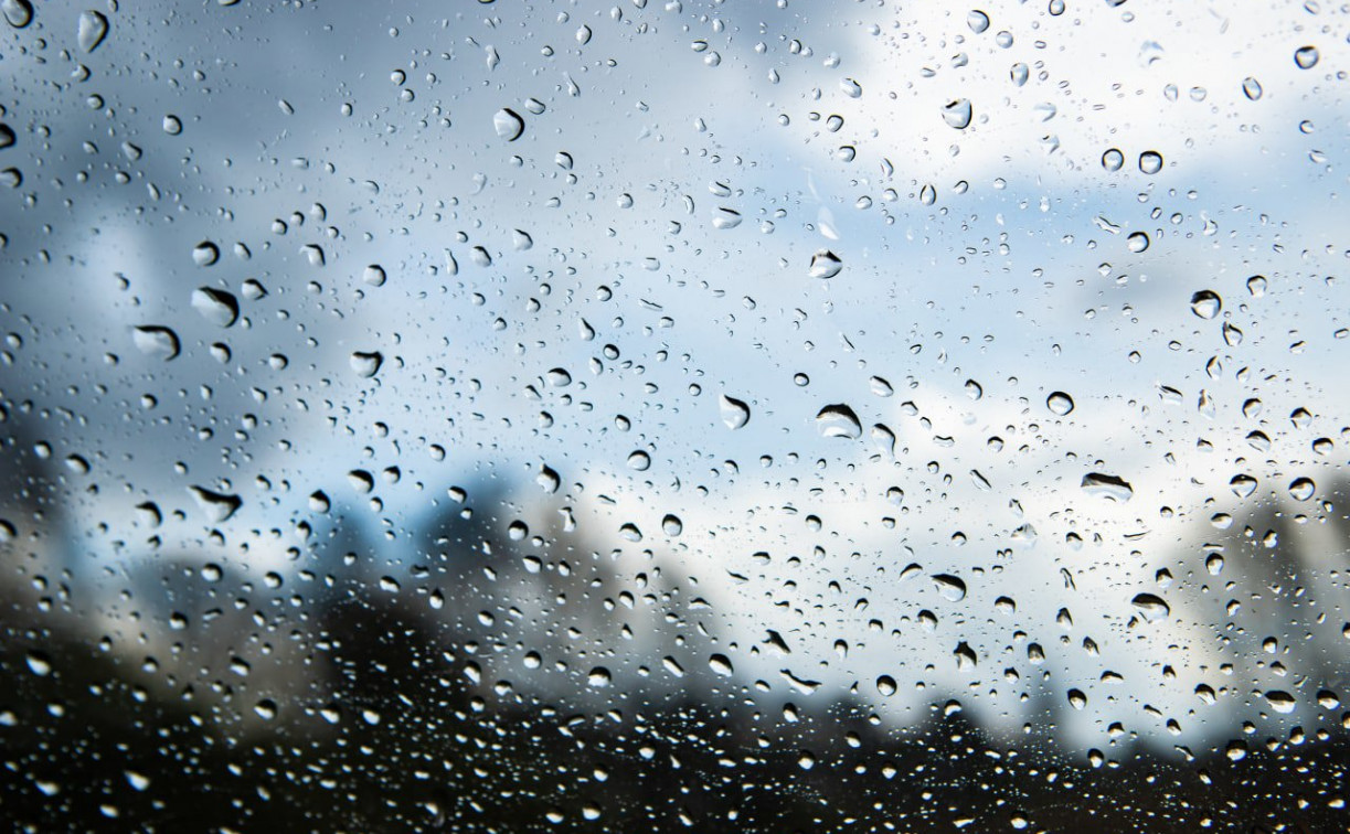 Погода в Туле 13 июня: сильные дожди и до +27