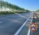 В Киреевском районе фура снесла 33-летнего мужчину на трассе М-4 