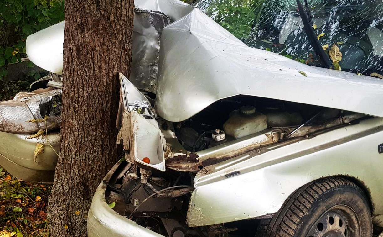 В Тульской области водитель «десятки» врезался в дерево