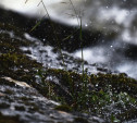 В южных районах Тульской области пройдет ледяной дождь