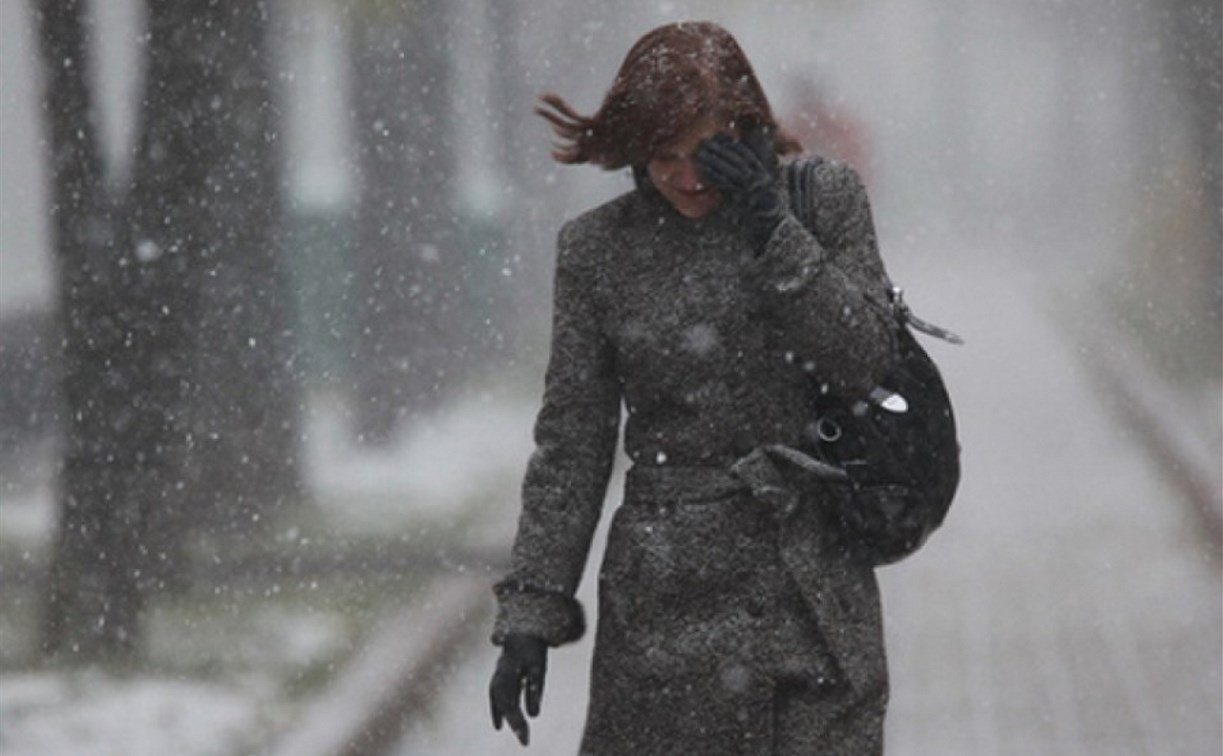 Погода в Туле 26 декабря: снег с дождём и сильный ветер