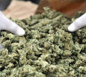 В Киреевске полицейские обнаружили у жителя деревни пакет с марихуаной 