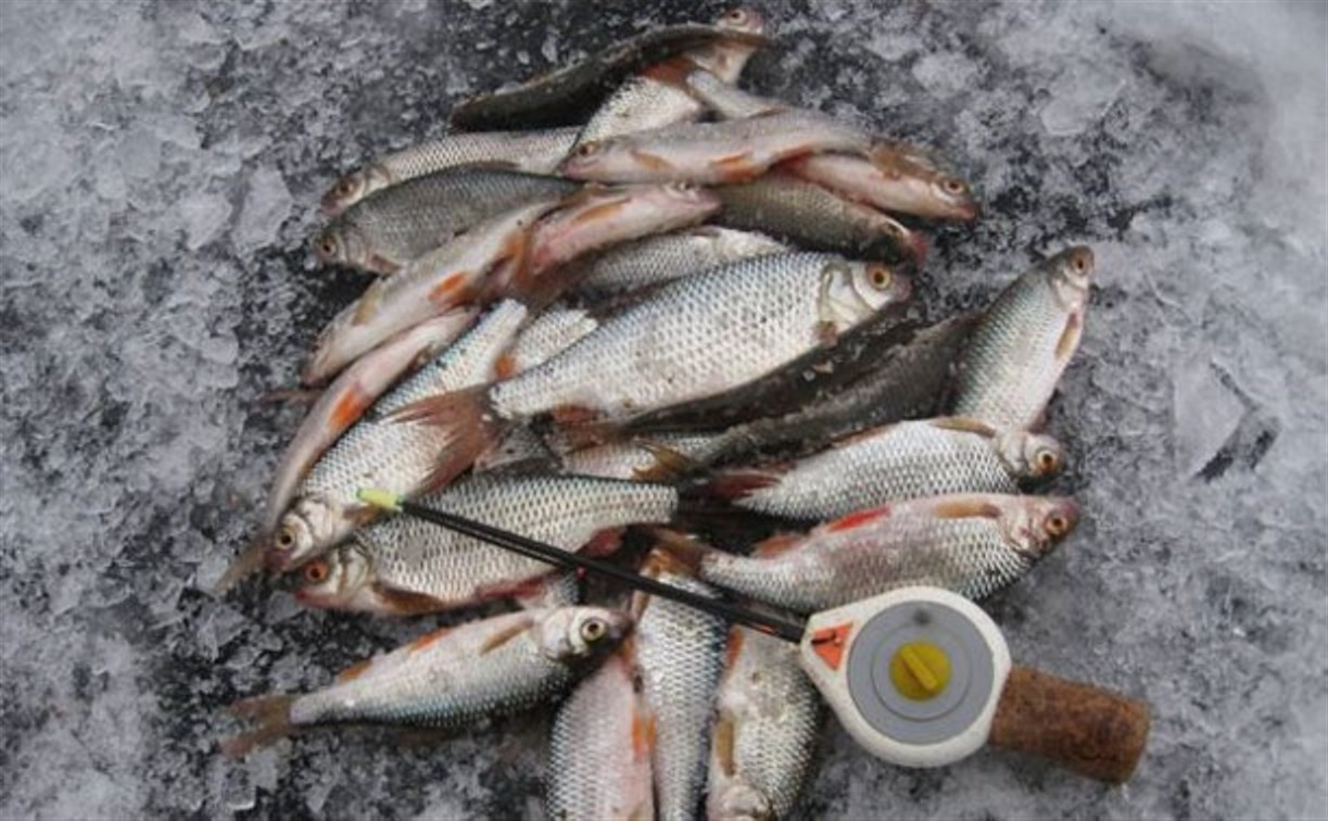 В Щёкинском районе пройдут соревнования среди рыболовов-любителей