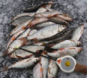 В Щёкинском районе пройдут соревнования среди рыболовов-любителей