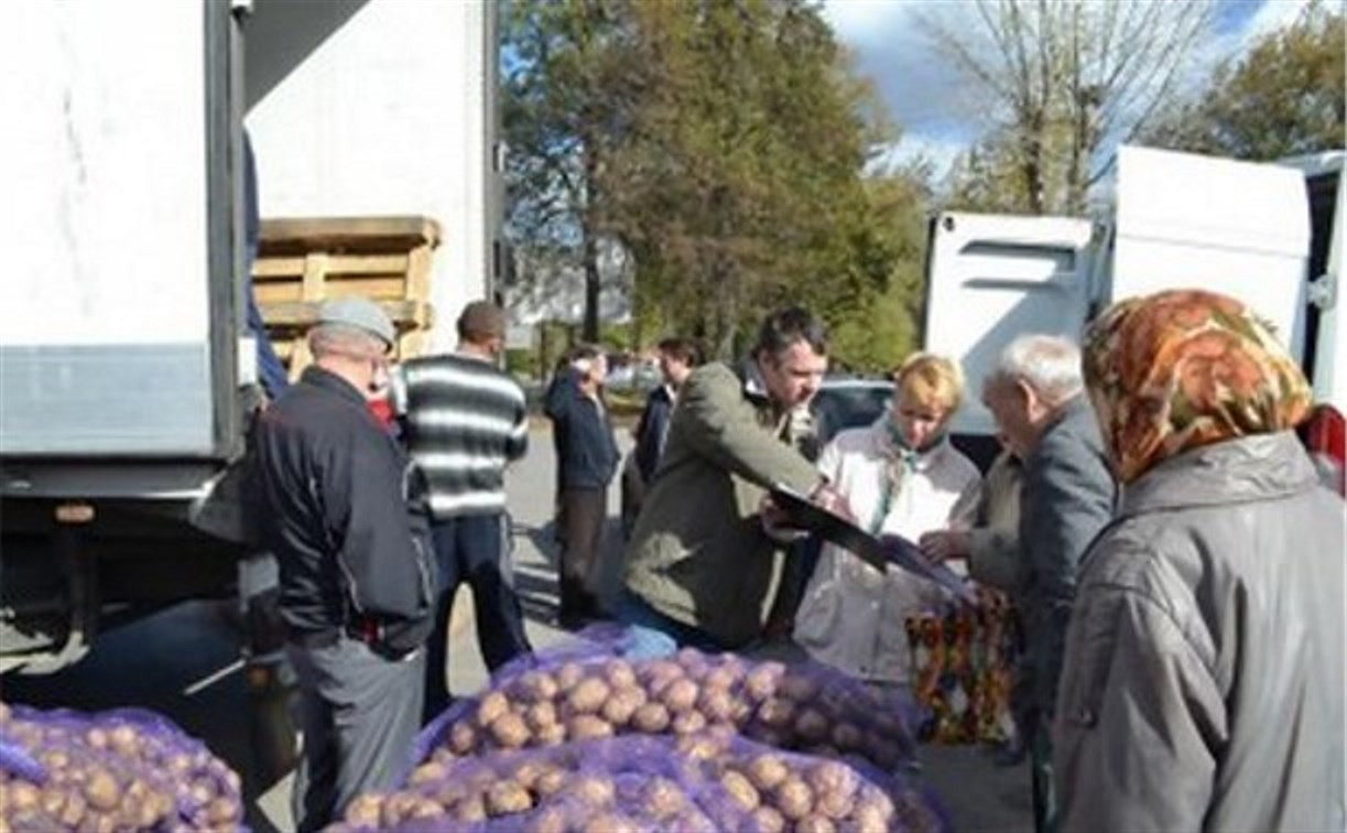 В Новомосковске пенсионерам подарили картофель 