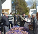 В Новомосковске пенсионерам подарили картофель 