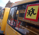 В Туле водителя уволили за нарушение правил перевозки детей