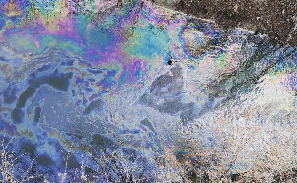 Масляные пятна на Воронке в Туле: по реке вновь текут нефтепродукты