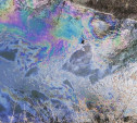 Масляные пятна на Воронке в Туле: по реке вновь текут нефтепродукты