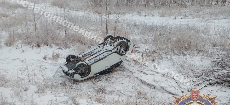 В Дубенском районе опрокинулся Renault Logan: пострадала пассажирка авто