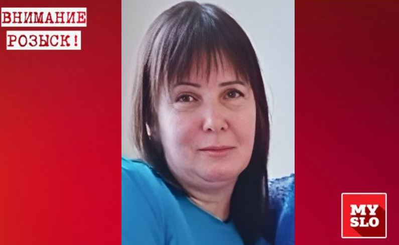 Для поисков пропавшей женщины в Туле изучат записи регистраторов 