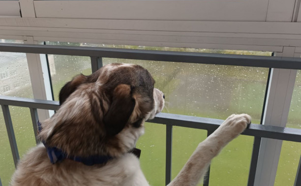 Выходные в Тульской области будут хмурыми и дождливыми