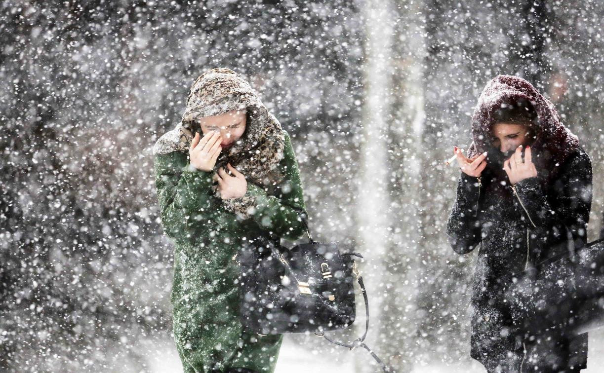 Погода в Туле 14 января: снегопад и порывистый ветер